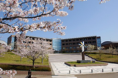 石川県内の専門看護師教育機関